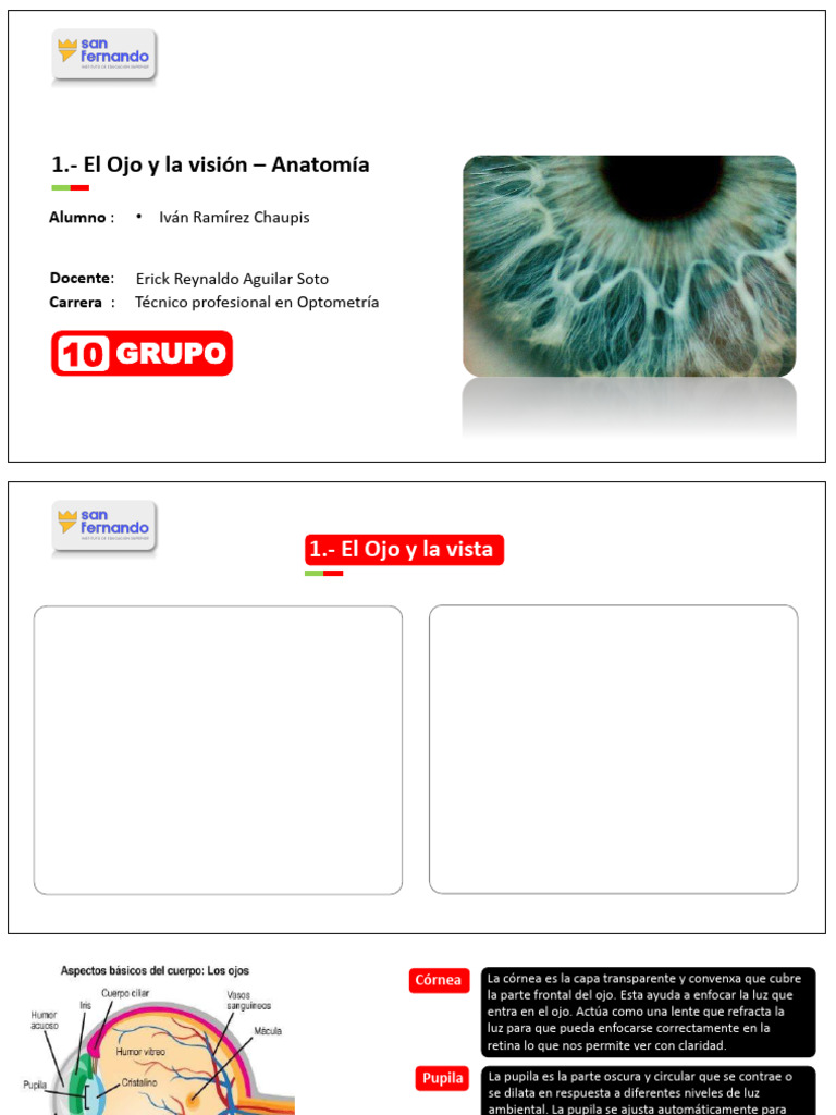 EL OJO Y LA VISION | PDF