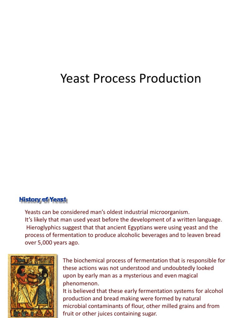 Yeast Production and Fermentation Process | PDF | Yeast | Saccharomyces ...