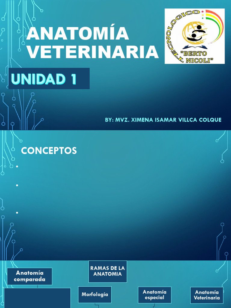 Anatomía visual data 5