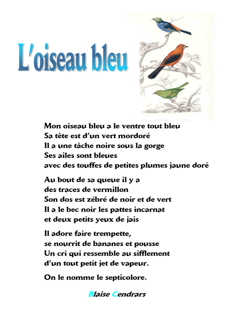 爆売り！ L Oiseau PDF | Bleu ヘアアクセサリー