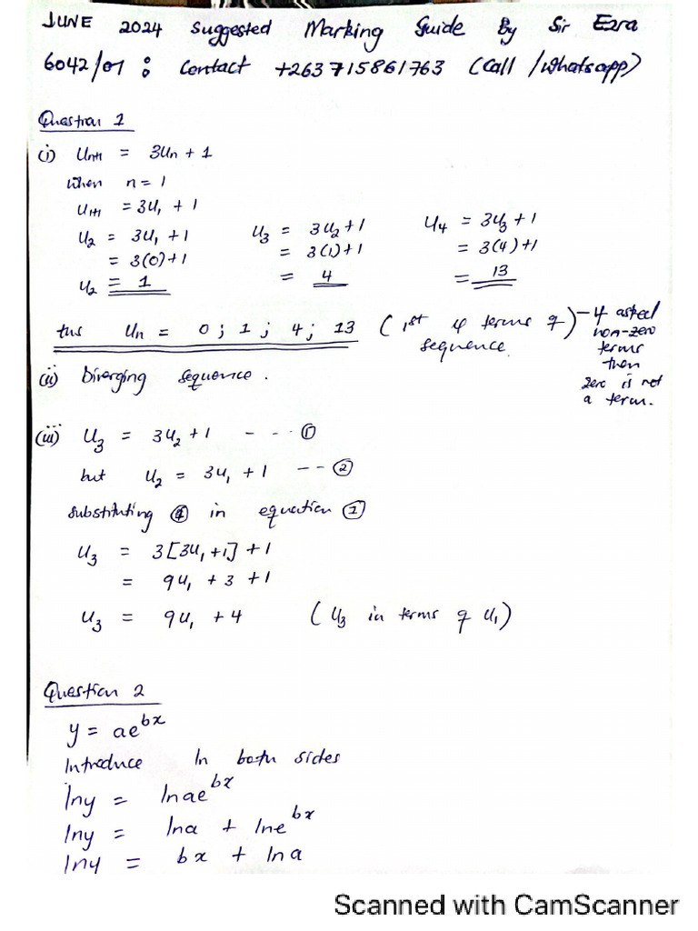 J2024P1 Suggested Marking Guide by Sir E | PDF