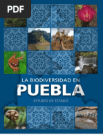 Download BiodiversidadenPuebla by Gustavo Orellana Rivadeneyra SN77104193 doc pdf