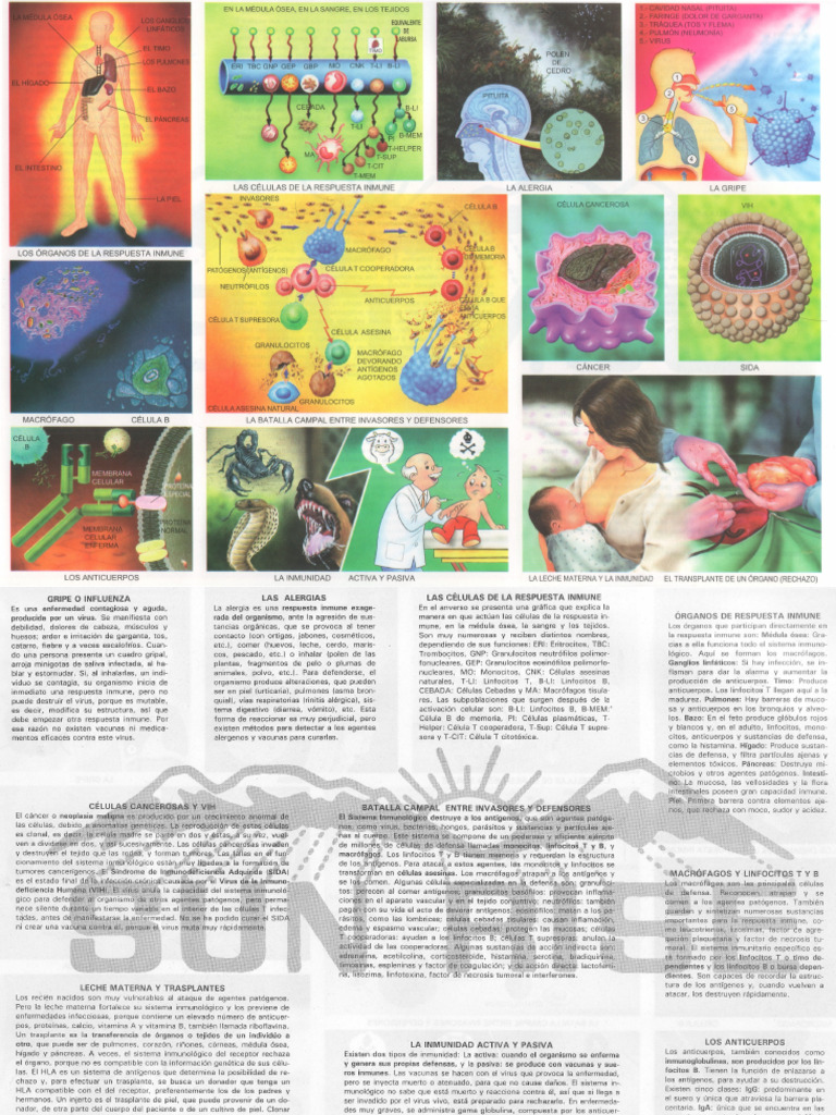 Sistema Inmunologico Pdf