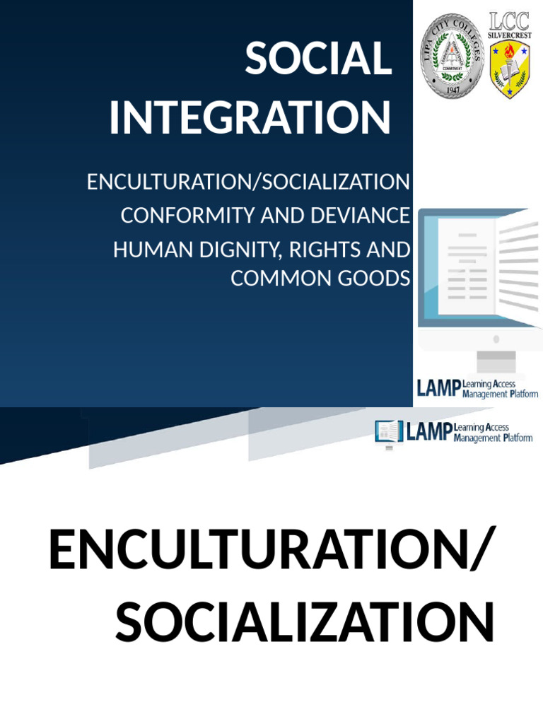 Social Integration | PDF