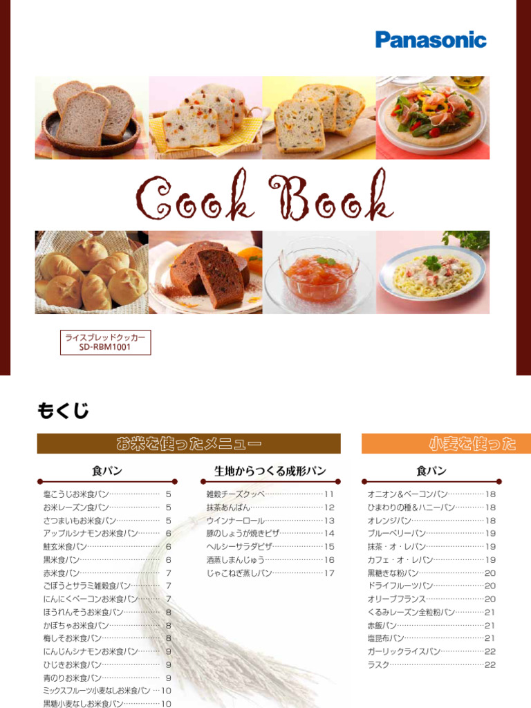 P sdrbm1001 C 201302201714 1 | PDF