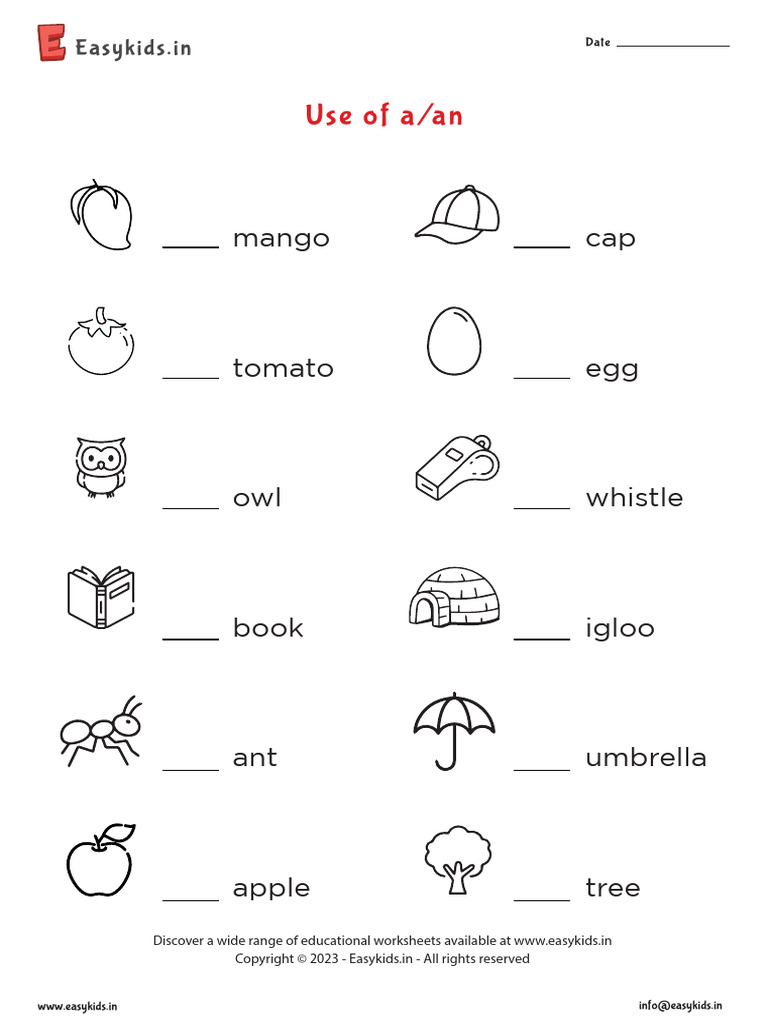 Use of A and An | PDF