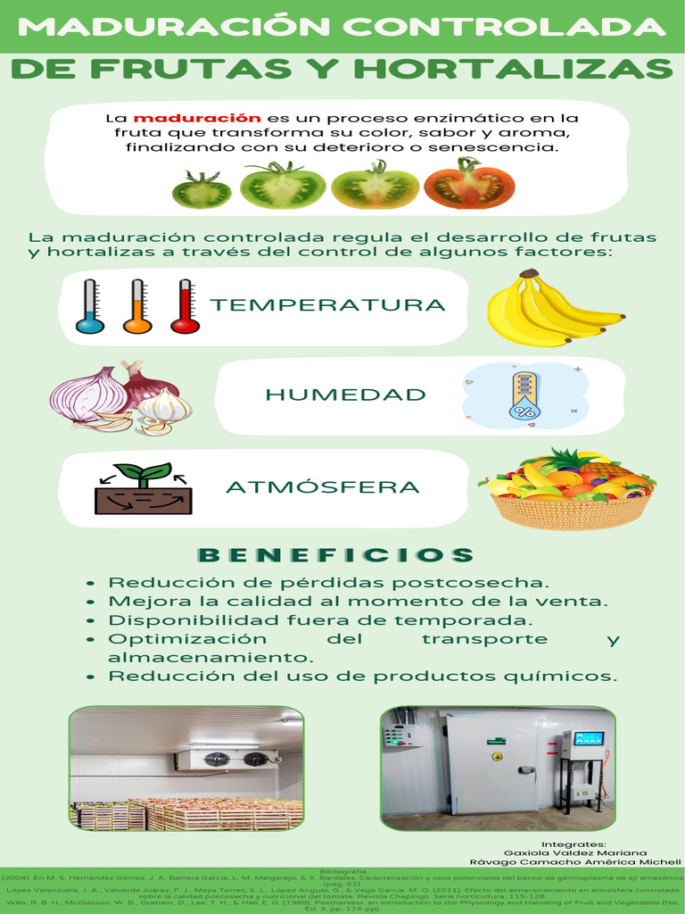 Cartel Maduración Controlada | PDF
