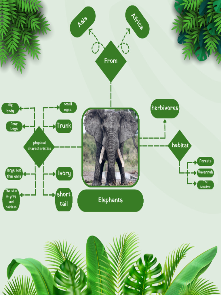 Bentuk lain dari descriptive text pdf