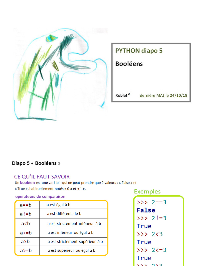 Python Diapo 5 Booleens | PDF