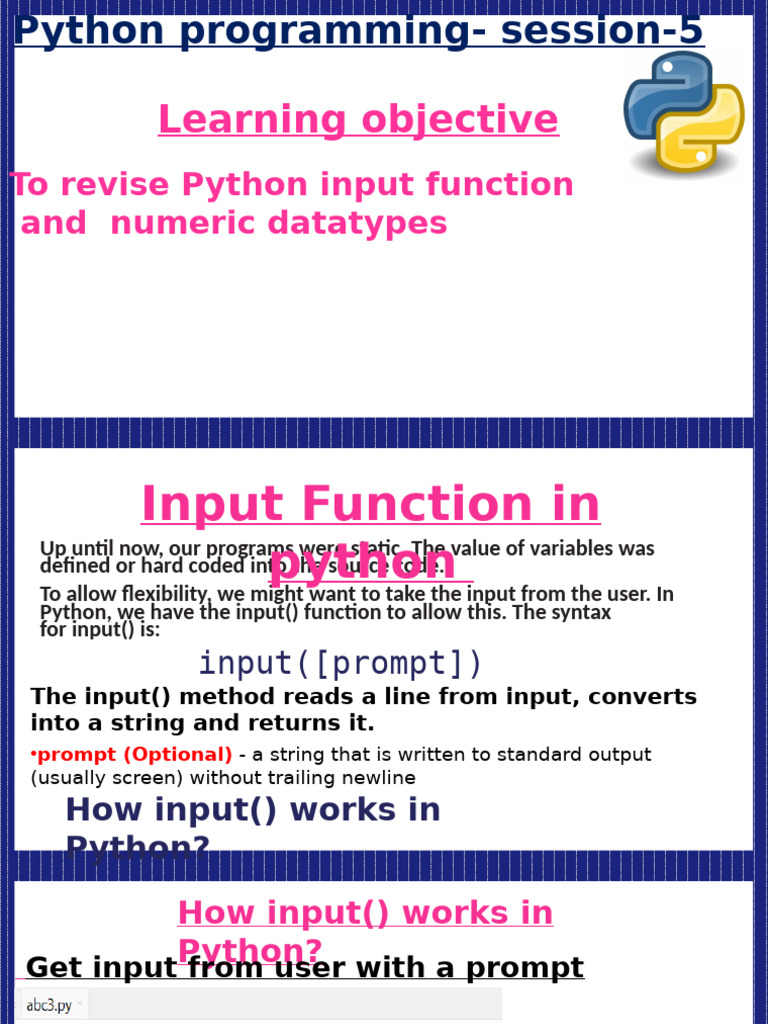 Python Input | PDF