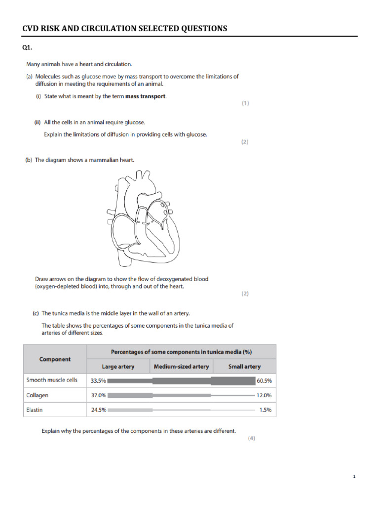 CVD Risk Assessment Questions Packet AS Biology EDEXCEL | PDF