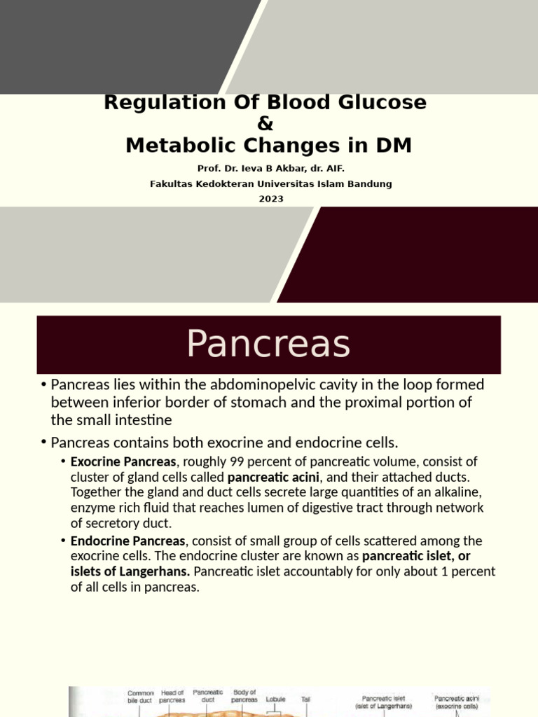 Image showcasing Regulation of Blood Glucose & Metabolic Changes in DM | PDF