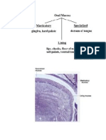Klasifikasi Mukosa Oral