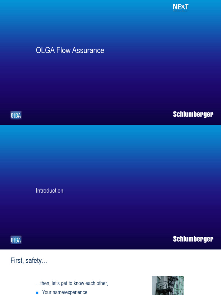 OLGA FA 1a - Introduction - NEW | PDF