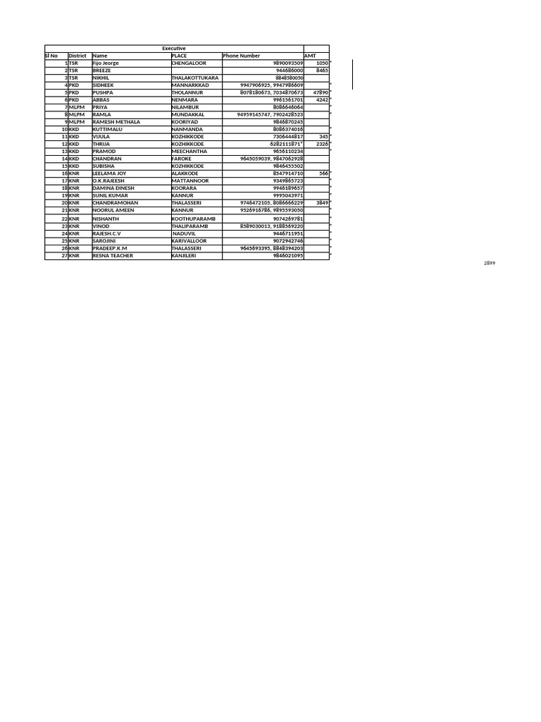 Exexcutive List | PDF