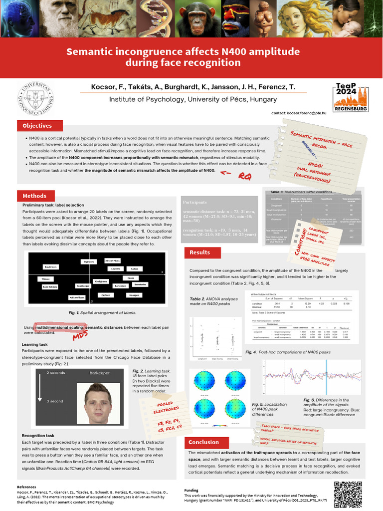 Semantic Incongruence Affects N400 Amplitude During Face Recognition | PDF