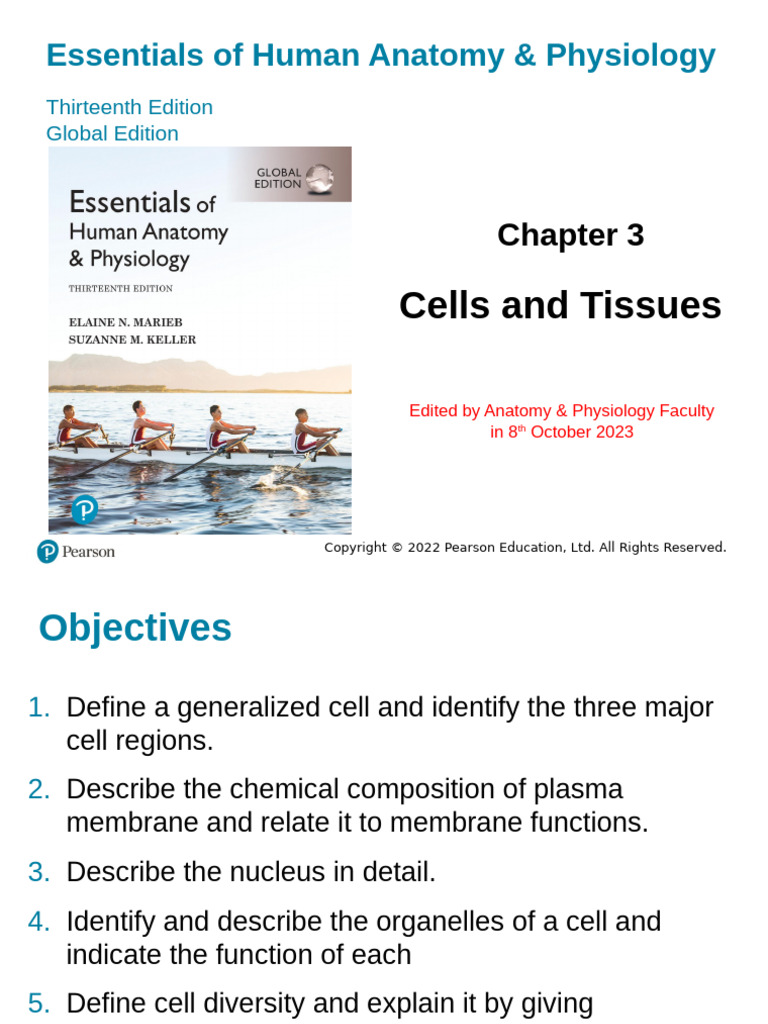 Ch03 Cells-Tissue - Ed Oct 2023 | PDF