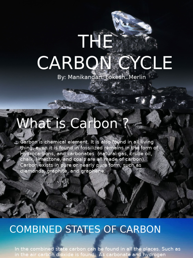 Carbon New | PDF