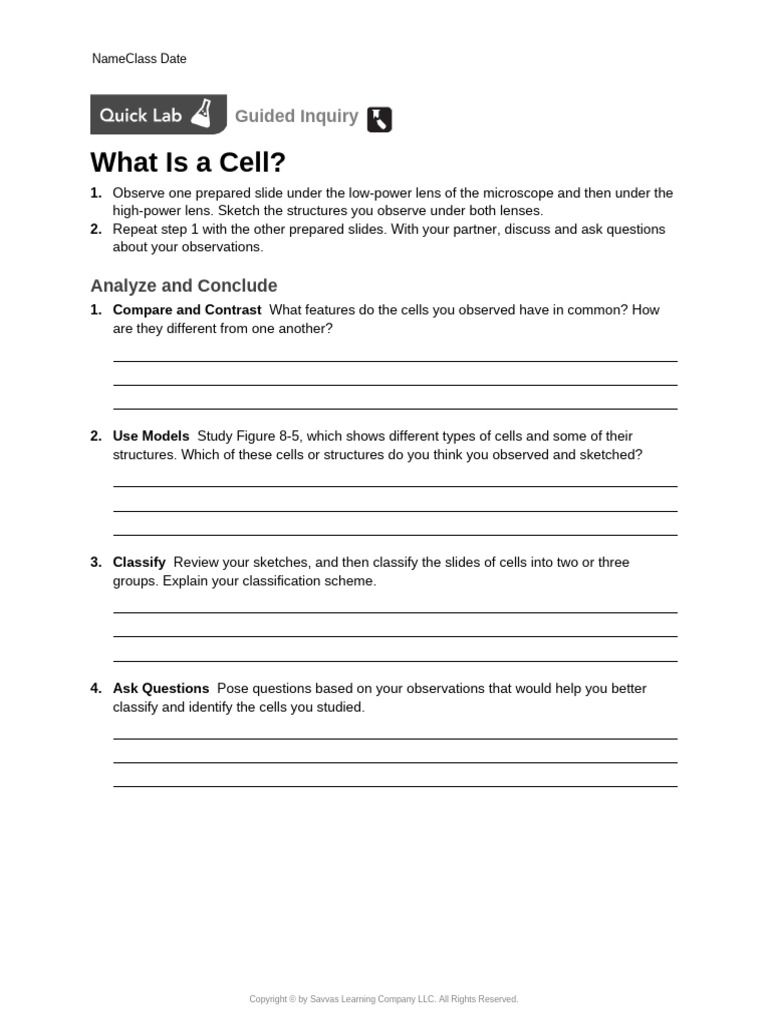BIO CH08 Quick Lab | PDF