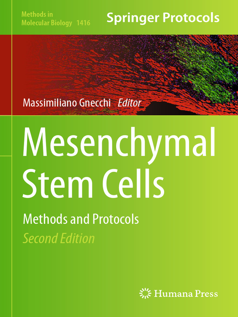 Mesenchymal Stem Cells 2016 | PDF