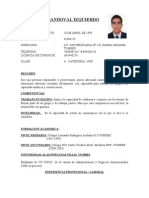 Manuel Sandoval Izquierdo Curriculum