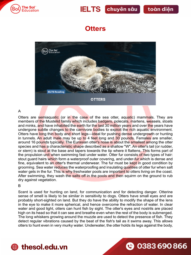 Part 1 Reading | PDF