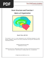 Download Brain Structure  Function by vineetya SN7712627 doc pdf