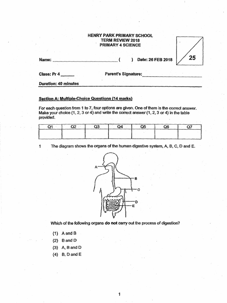 P4 Science CA1 2018 Henry Park Exam Papers | PDF