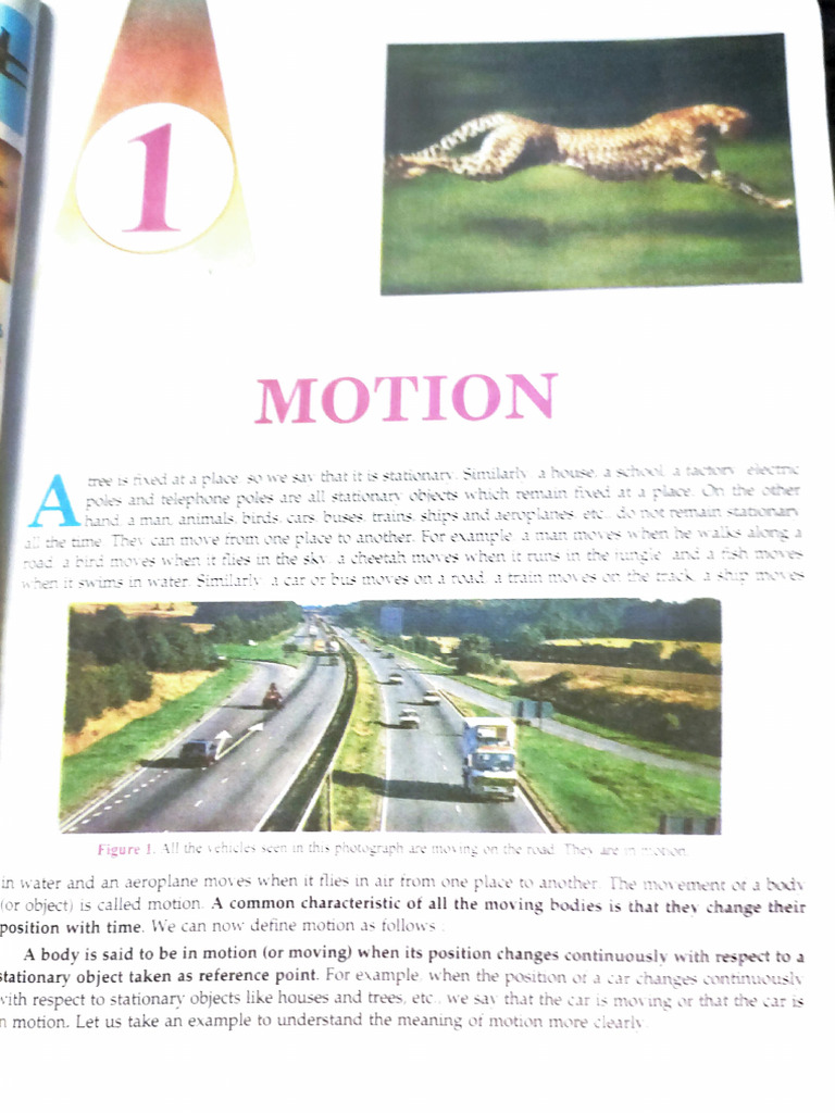 Self made notes class 10 | PDF