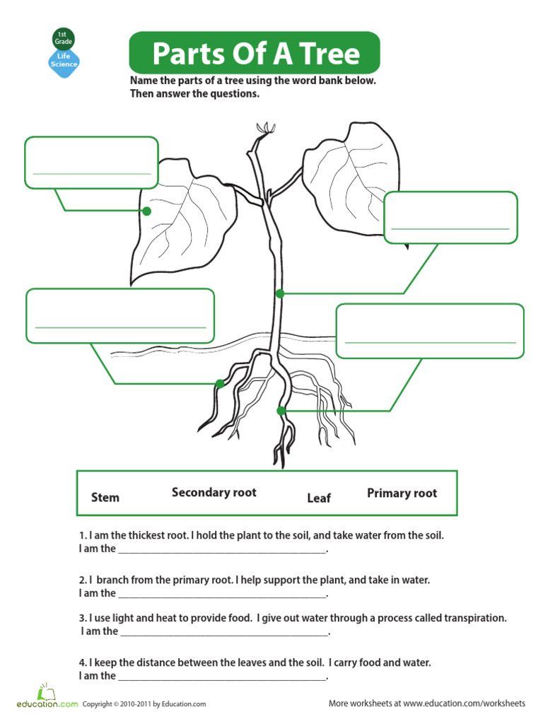Parts Tree | PDF