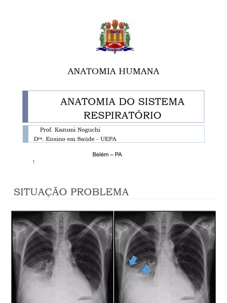Anatomia Do Sistema Respiratorio Pdf