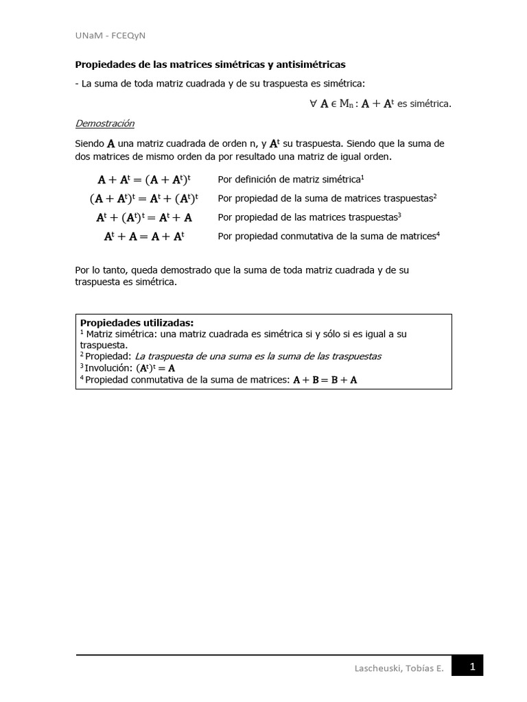Propiedades de Las Matrices | PDF