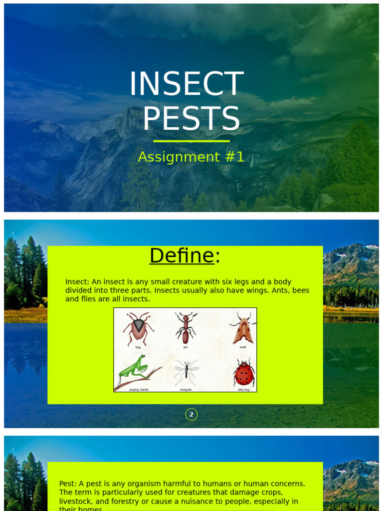 Insect | PDF
