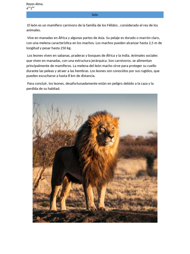 El Leon | PDF