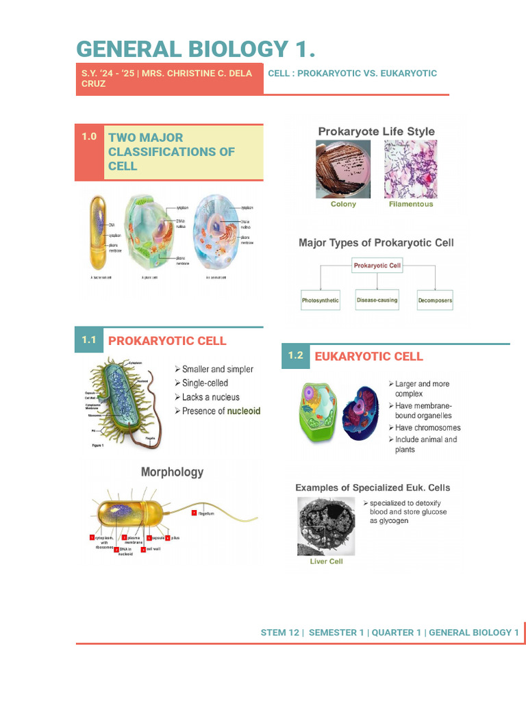 prokaryotic-vs-eukaryotic-pdf