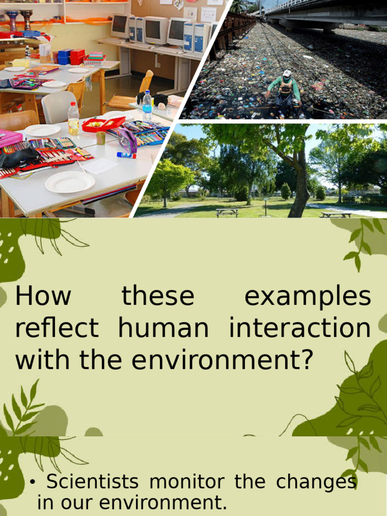 Human Person in The Environment | PDF