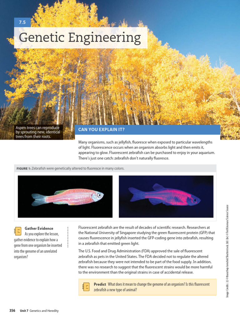 Unit 7.5 Genetic Engineering | PDF