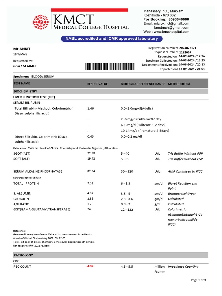 Ankit 1 | PDF