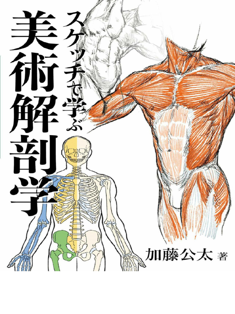 Art Anatomy Learned From Sketches (スケッチで学ぶ美術解剖学