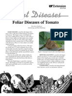 Foliar Diseases of Tomato (SP277-W)