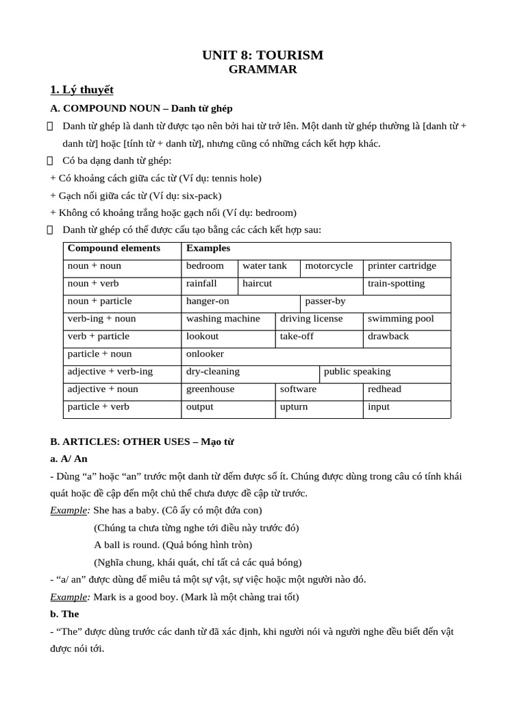 Unit 8 Grammar | PDF