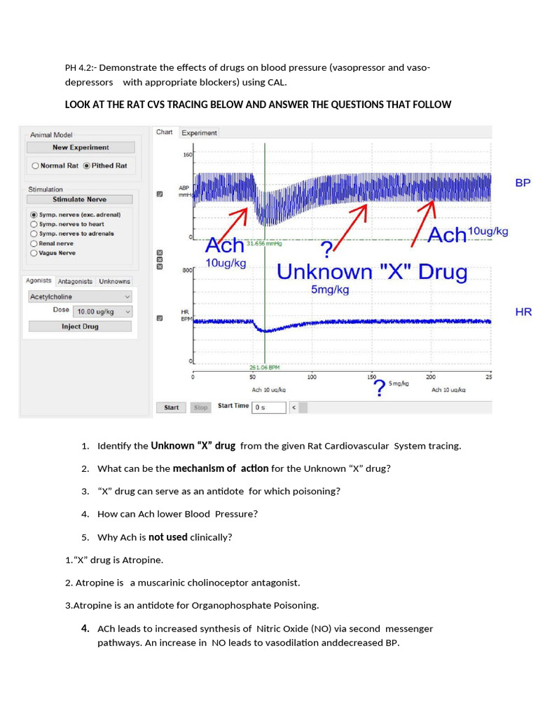 Graphs | PDF