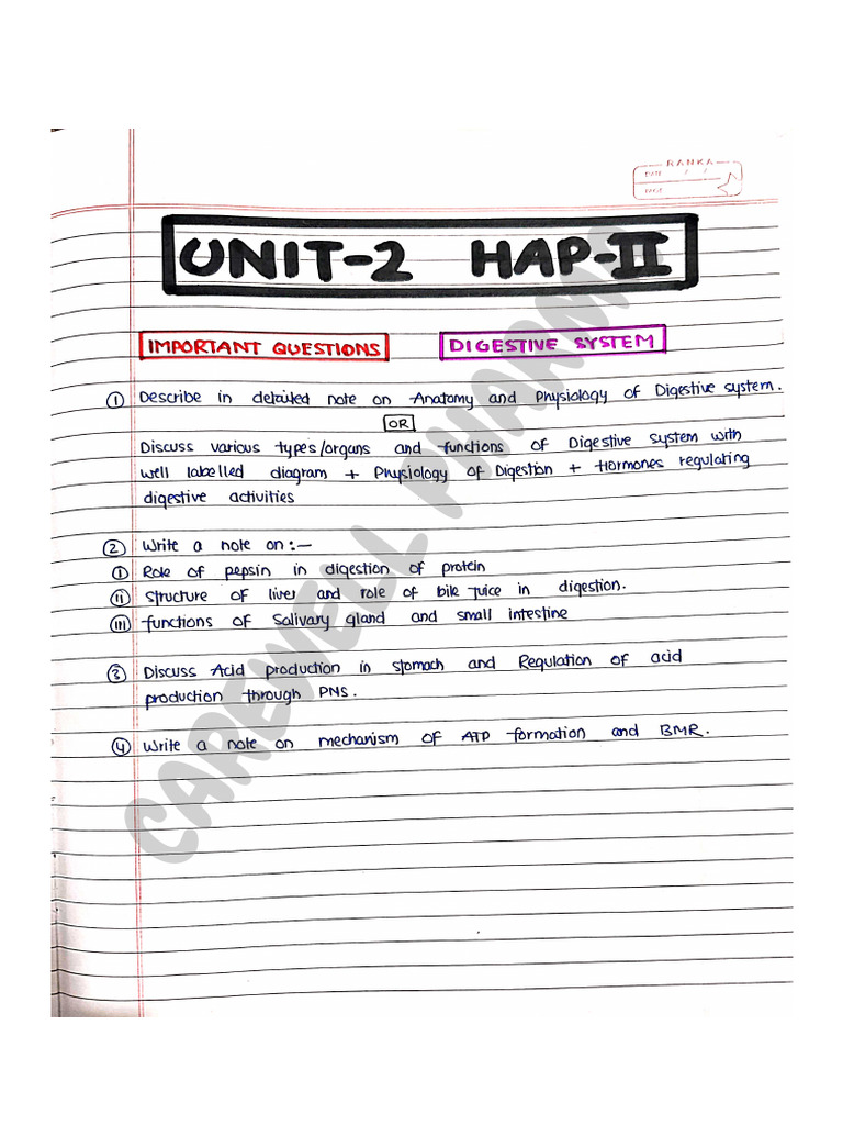RESPIRATORY SYSTEM NOTES ANATOMY AND PHYSIOLOGY PDF CAREWELL PHARMA visual data 8