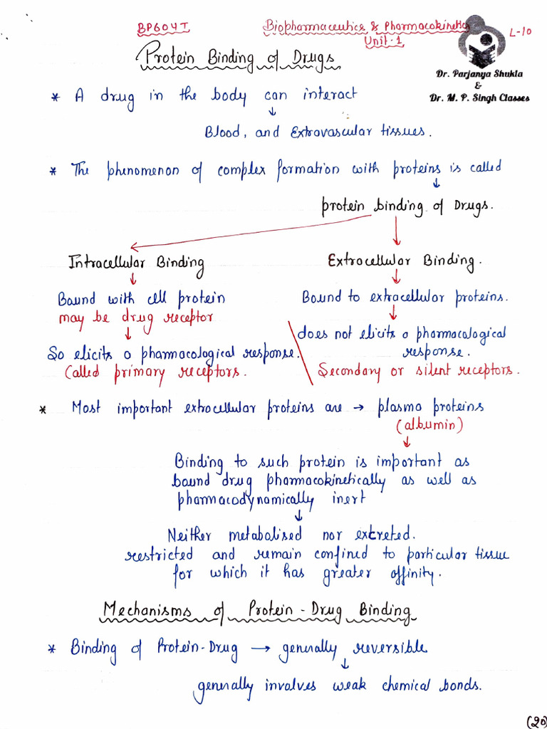 Protein Binding of Drug | PDF