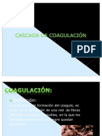 Factores coagulación proceso