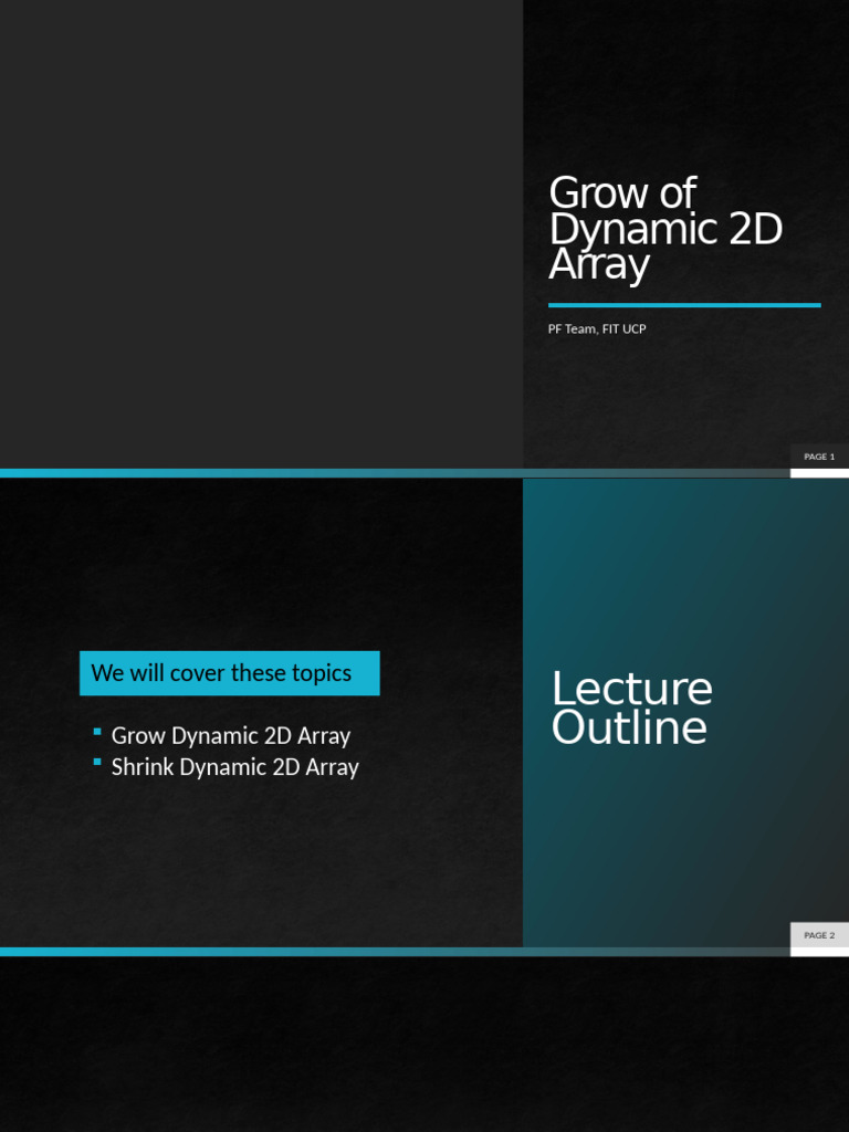 Lecture 5 - Grow of Dynamic 2D Array | PDF