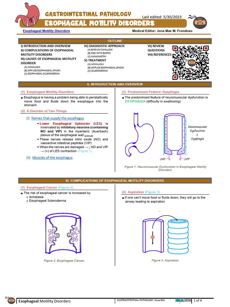 Gastrointestinal Pathology 011 Esophageal Motility Disorders | PDF