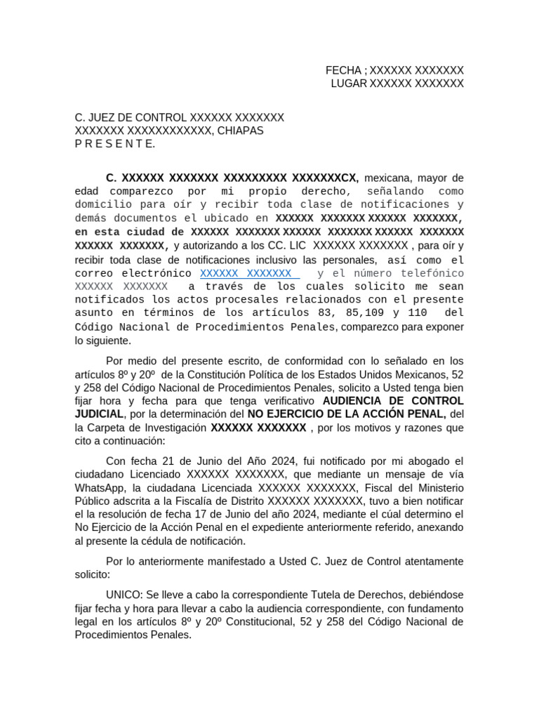 Solicitud de Audiencia de Control Judicial | PDF