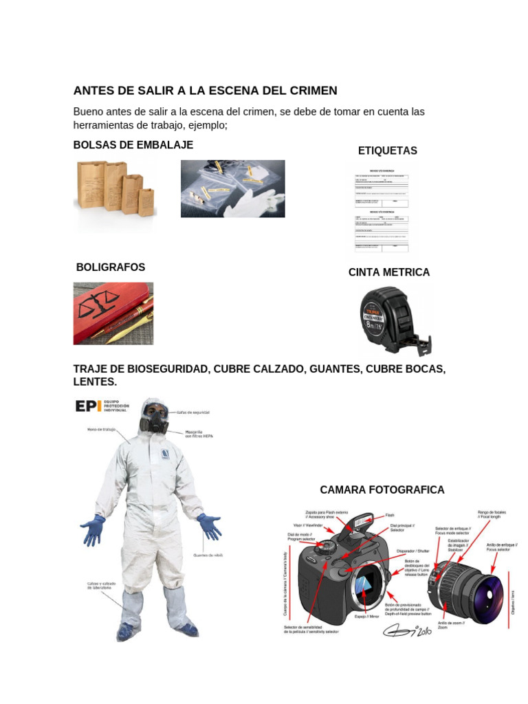 Antes de Salir A La Escena Del Crimen | PDF