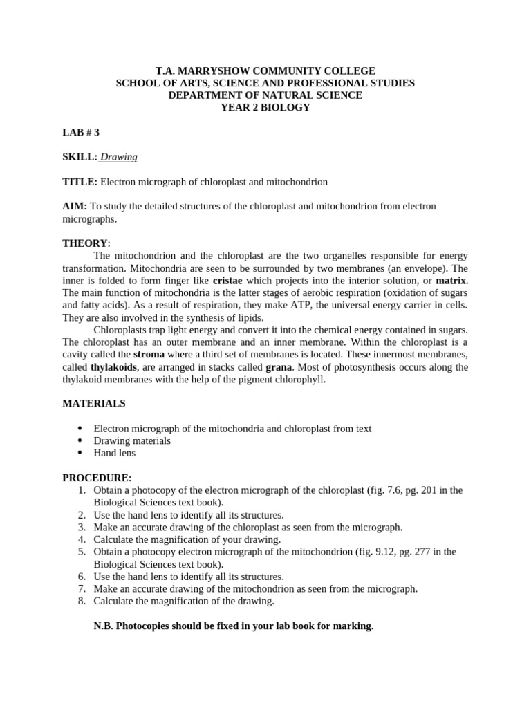 Lab #3 - Chloroplasts - Mitochondria | PDF